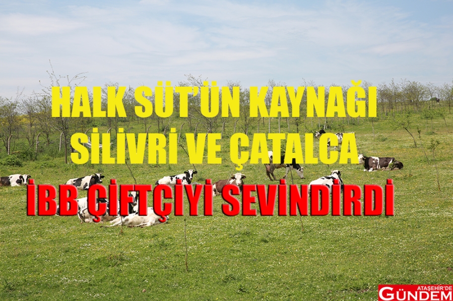 İSTANBULLU ÇOCUKLARA HALK SÜT DAĞITIMI DEVAM EDİYOR İBB HALK SÜT